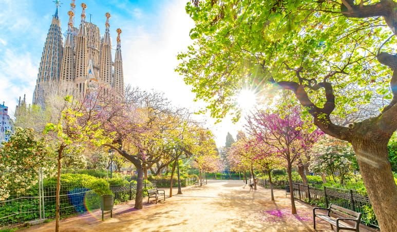 5 Days Madrid and Barcelona Tour Package