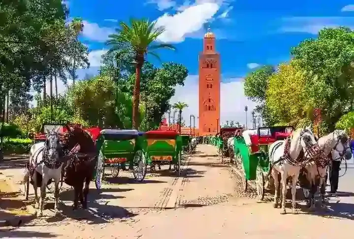 Marrakech, Casablanca, Rabat, & Fez 7 Days Package