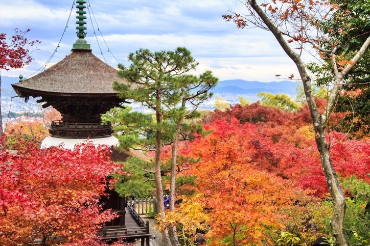 3 Day Kyoto, Osaka & Nara Tour Package