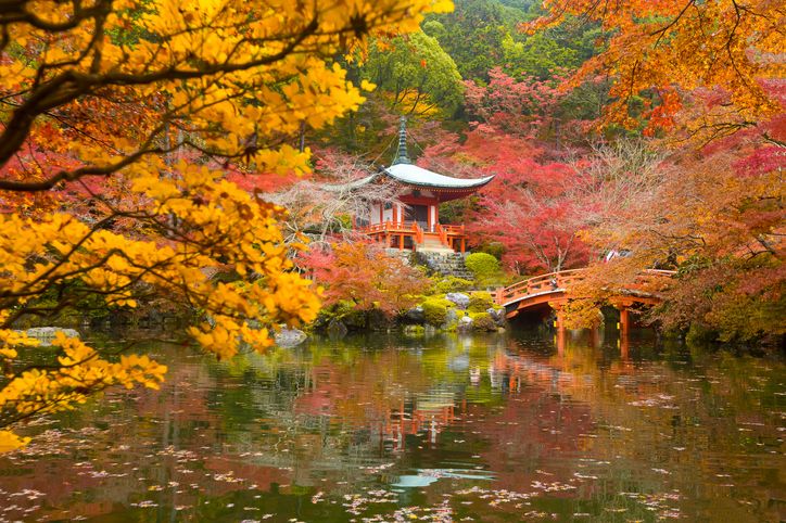 7 Days Japan Highlights Tour Package