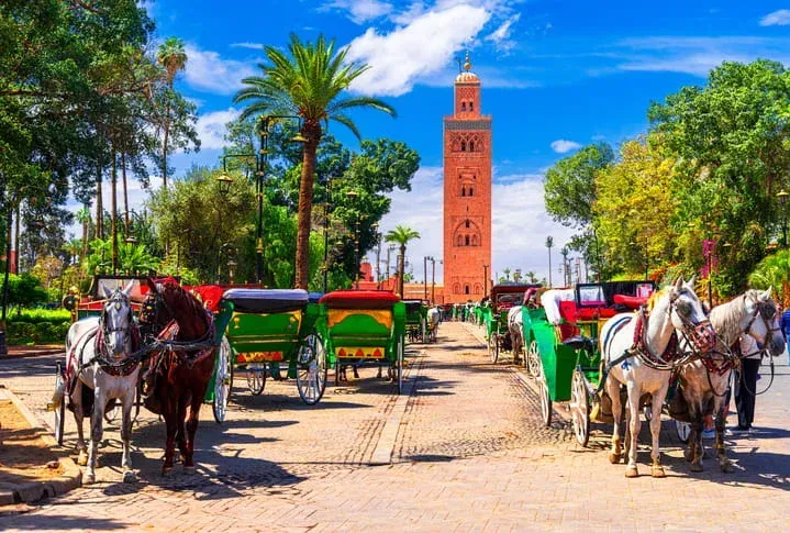 Dades Valley - Ouarzazate - Ait Ben Hadou - Marrakech