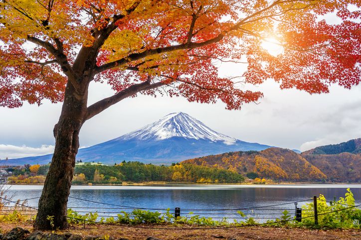 Tokyo to Hakone