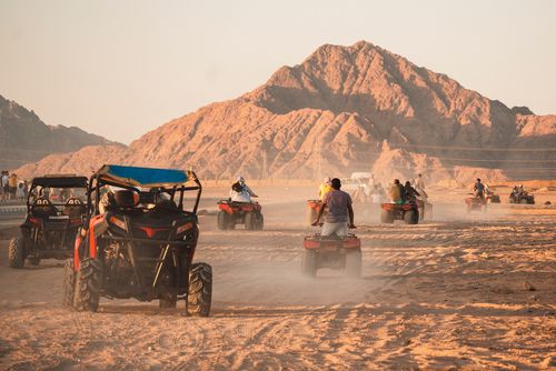 Dhow Cruise/Desert Safari