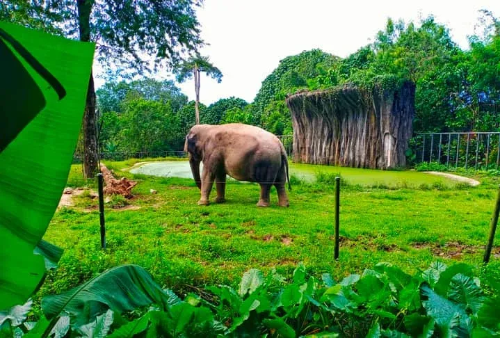 Port Dickson to Kuala Lumpur